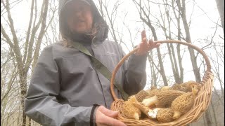 Morels amp More MidApril Mushroom Hunting [upl. by Towne91]