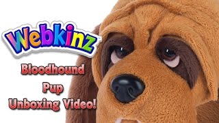 Webkinz Bloodhound Pup Unboxing  NEW Pet October 2016 [upl. by Corliss]