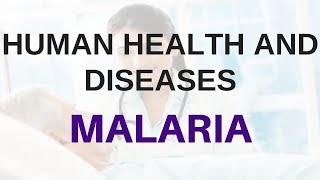 Human Health And Disease for PreMedical Exams  Malaria [upl. by Jareb196]