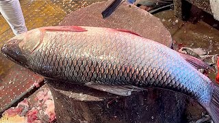 Fastest Big Katla Fish Cutting Skills In Fish Market  Fish Cutting Skills  FishCuttingMarket [upl. by Melodie291]