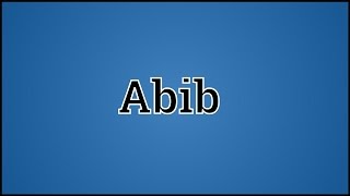 What Abib Means [upl. by Ailliw229]