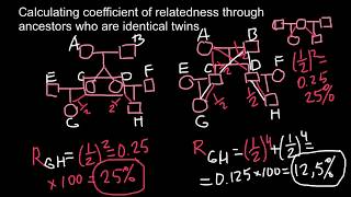 Interesting problem about coefficient of Relatedness [upl. by Nnaitak]