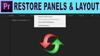 Restore Missing Panels and Adjust Layout  Adobe Premiere Pro Tutorial [upl. by Claribel]