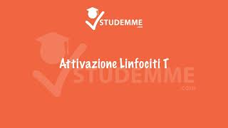 Attivazione linfociti T  VIDEO RIASSUNTO IMMUNOLOGIA E IMMUNOPATOLOGIA COMPLETO [upl. by Salot]