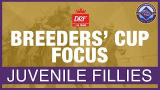 Breeders Cup Focus  Juvenile Fillies 2024 [upl. by Eolande]