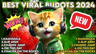 NEW VIRAL TIKTOK BUDOTS DISCO PARTY 2024  DJGENTRAX BUDOTS REMIX [upl. by Eartnoed]