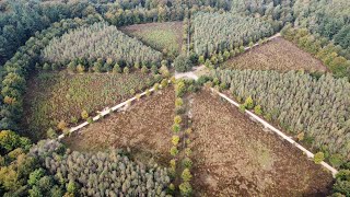 A drone flight above various nice spots in Amerongen on the 12th of October 2024 [upl. by Spencer]