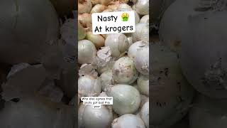 Who else agrees that gnat got bad this year gnats bugs kroger nasty viralvideo shortsyoutube [upl. by Crane]