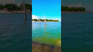 CHILIKA BALUGAON  odisha khordha shortvideos bestplace 👍👍 [upl. by Ynabla]