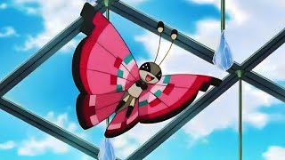 ScatterbugSpewpa and Vivillion Pokemon all Attacks pokemon scatterbug spewpa vivillon attacks [upl. by Ahsya240]