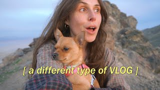 VLOG Camping With WILD BISON to Celebrate 🦬 amp meet my boyfriend [upl. by Aleris]