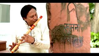 Vaishnav Jan To  Instrumental Folk  Gandhi  150 Years  Celebrations Doordarshan [upl. by Nylessoj]