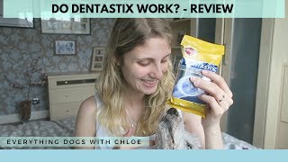 DENTAL CHEWS FOR DOGS  DO DENTASTIX WORK [upl. by Frodin982]