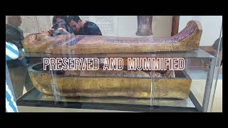 EGYPT Wonders PHOTO PART 5 Old Egyptian Museum Cairo 2023 Mummys Animals Sarcophag Ancient Artefacts [upl. by Storm]