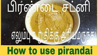 pirandai பிரண்டை சட்னி  Pirandai thuvaiyal sumathis kitchen [upl. by Nojram916]