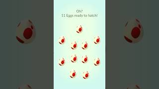 12KM Eggs Hatch Pokémon GO [upl. by Nadean237]