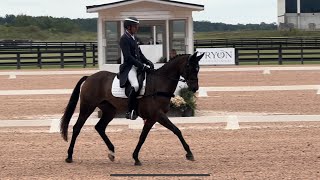 Barney Rubble  Tryon FEI  Sept ‘24 [upl. by Aixela]