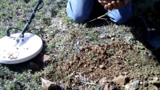 Gold detecting in central queensland Nice nugge [upl. by Allerus]