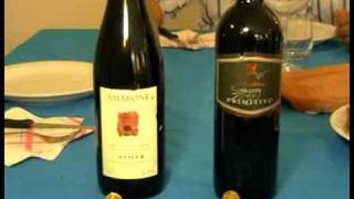 wwwoliovinopeperoncinoit Primitivo VS Amarone [upl. by Mercado]