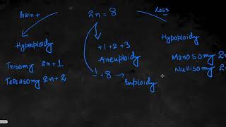 Chromosomal Abbreations Explained [upl. by Netnert385]