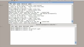 How to Stop a WGET Download  Computer Tips [upl. by Edlun]