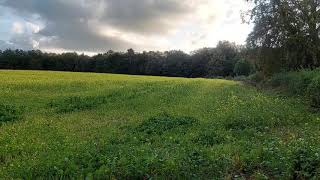 Trip to countryside fields England Buckinghamshire town [upl. by Llenrahs]