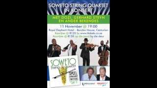 Soweto String Quartet in konsert 11 Nov 2013 [upl. by Annaeerb]