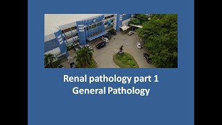 Renal pathology part 1 [upl. by Ecinehs]