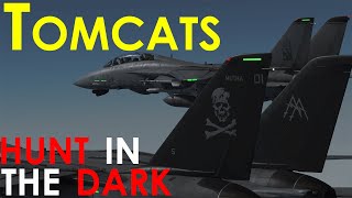 The Perfect Storm  F14 Tomcat Night Strike in DCS World [upl. by Washko984]