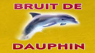 bruit De DAUPHIN 🐬 cliquetis [upl. by Sherburne]