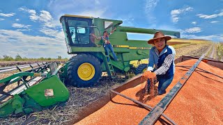 TRILLA DE SORGO EN TAMAULIPAS  ISELA MANEJA LA TRILLADORA POR PRIMERA VEZ  ESTE FUE EL RENDIMIENTO [upl. by Rapsac]