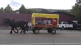 Mule Day Collinsville Trade Day [upl. by Handbook]