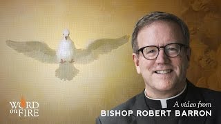 Bishop Barron on the Sacrament of Confirmation [upl. by Layap143]