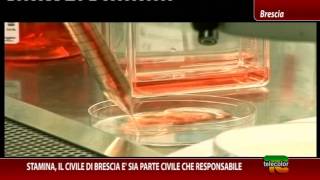 Stamina il Civile di Brescia è sia parte civile che responsabile [upl. by Kitchen]