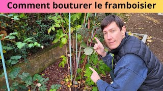 Comment bouturer le framboisier [upl. by Arreis]