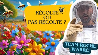 Récolte ou pas récolte de miel  🍯 [upl. by Dey]