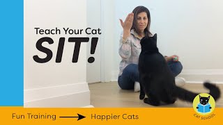 Teach Your Cat To Sit With Clicker Training [upl. by Handal]