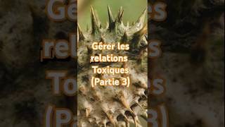 Comment la Bible nous Apprend à Gérer les Relations Toxiques Partie 3bible perversnarcissiques [upl. by Ativak104]