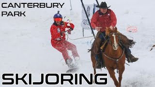 Skijoring Canterbury Park [upl. by Llenrod339]