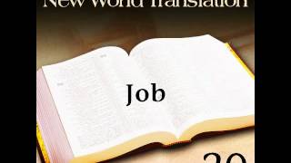 JOB  New World Translation of the Holy Scriptures [upl. by Nosbig]