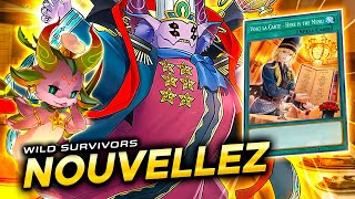 NOUVELLEZ Deck 🍔  Wild Survivors Replays amp Análisis 📈 [upl. by Aggy]