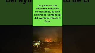 URGENTE INCENDIO FORESTAL EN LA PALMA 12112024 [upl. by Ricker459]