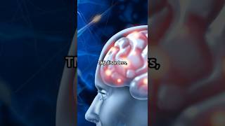 Trigeminal Neuralgia  The Most Intense Pain Explained trigeminalneuralgia trigeminal neurology [upl. by Cinimmod]