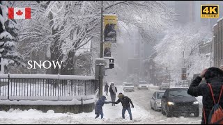 BIG SNOWFALL in Montreal Canada 🇨🇦 4K First Major Snowstorm of the Season Hits Quebec Snow video [upl. by Borg567]