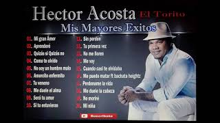 Hector Acosta Mis Mayores Exitos en Bachata [upl. by Nalro]