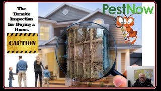 The Termite Inspection Buying or Selling a Home  Caution [upl. by Metsky]