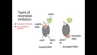 inhibitors and their types Lilac2197 [upl. by Naaman]