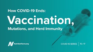 How COVID19 Ends Vaccination Mutations and Herd Immunity [upl. by Naerad209]