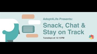 Snack and Chat 7 Core Issues in Adoption and Permanency [upl. by Anihta]