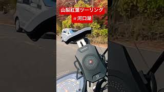 山梨紅葉ツーリングクロスカブ110 バイクツーリング ほんだのばいく 秋の紅葉八ヶ岳 [upl. by Gotcher]